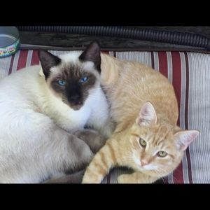 Meet your Posher, Rachelyn